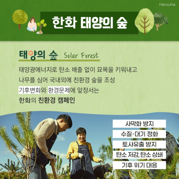 한화 태양의 숲. 사진=한화그룹