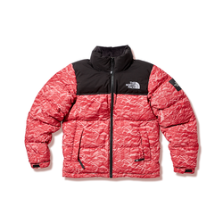 롯데백화점 ‘노벨티 눕시 숏패딩’ 제품 이미지. 사진=롯데백화점