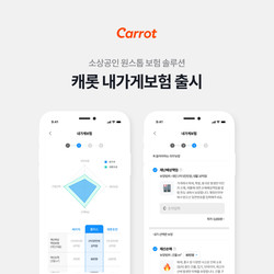캐롯손해보험이 '캐롯 내 가게 보험'을 출시했다. 사진=캐롯손해보험