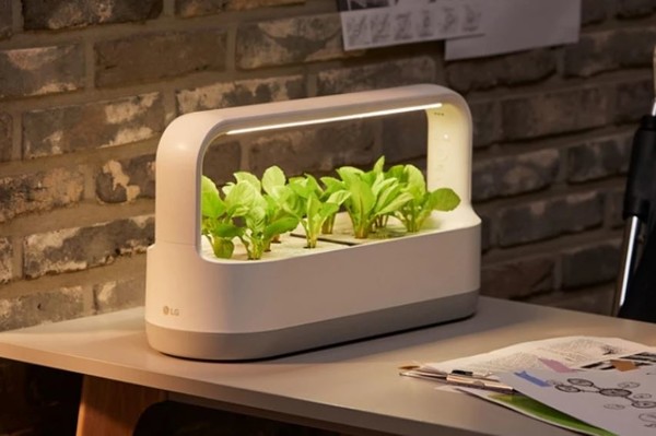 LG 틔운 미니.(사진=LG전자)