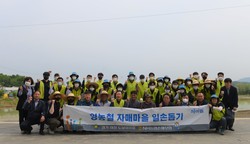 NH농협손해보험이 자매마을 일손돕기에 나섰다. 사진=NH농협손해보험