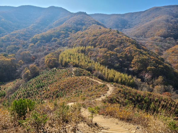 DMZ펀치볼둘레길 전경. 사진 제공=산림청