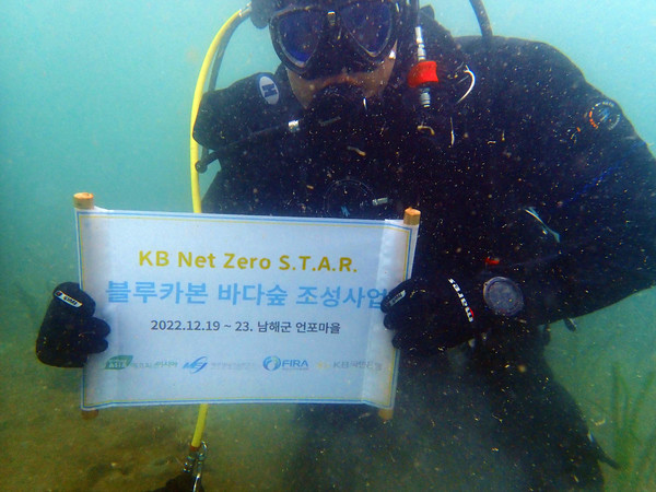 KB국민은행이 'KB Net Zero S.T.A.R. 블루카본 바다숲'을 조성했다. 사진=KB국민은행