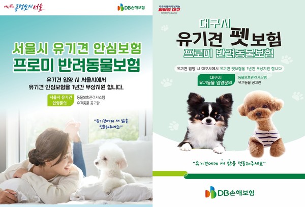 DB손해보험이 서울시, 대구시, 창원시와 함께 유기견 보험정책을 시행하고 있다. 사진=DB손해보험