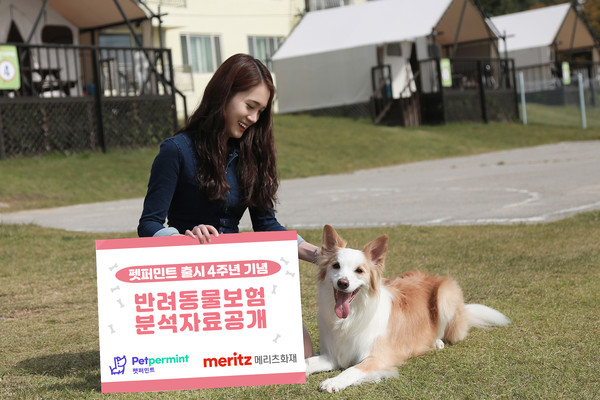 메리츠화재가 ‘펫퍼민트’ 출시 4주년을 맞아 반려동물보험 분석자료를 공개했다. 사진=메리츠화재