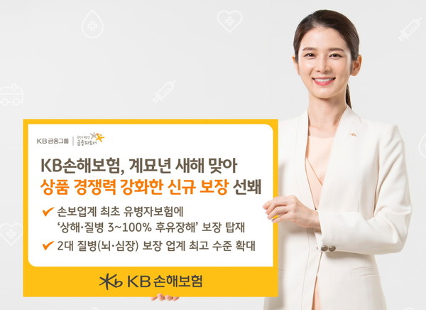 KB손해보험이 2023년 계묘년 새해를 맞아 상품 경쟁력을 강화한 신규 보장을 선보인다. 사진=KB손해보험