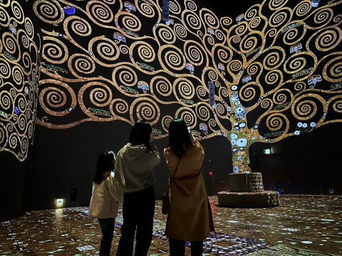 사진 제공=티모넷