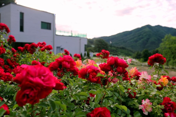 사진 제공=경기도