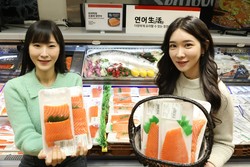 롯데마트가 북극 바다에서 자란 프리미엄 ‘오로라 연어’를 판매한다. 사진=롯데마트