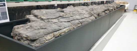 사진제공=문화재청