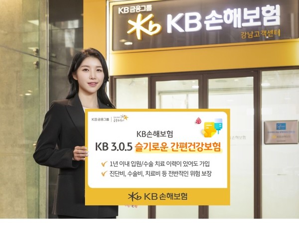 KB손해보험이 유병자보험 신상품 ‘KB 3.0.5 슬기로운 간편건강보험’을 출시했다. 사진=KB손해보험