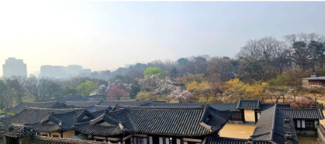 낙선재 후원에서 바라본 낙선재 권역 봄 풍경 . 사진 제공=문화재청