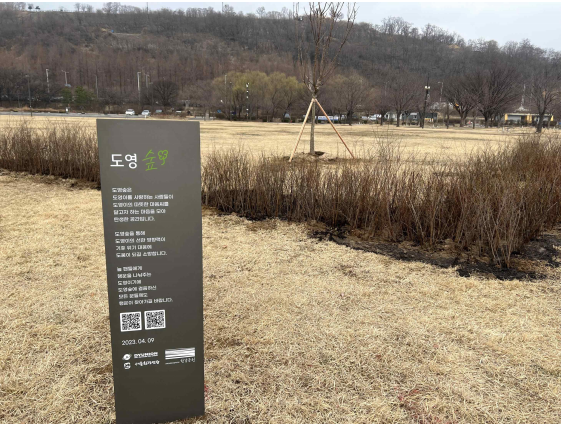 사진 제공=서울시