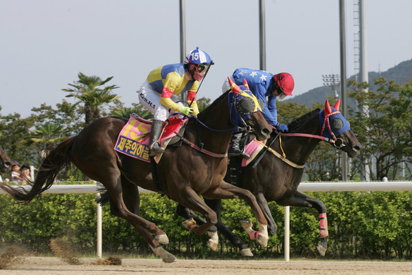 사진=한국마사회
