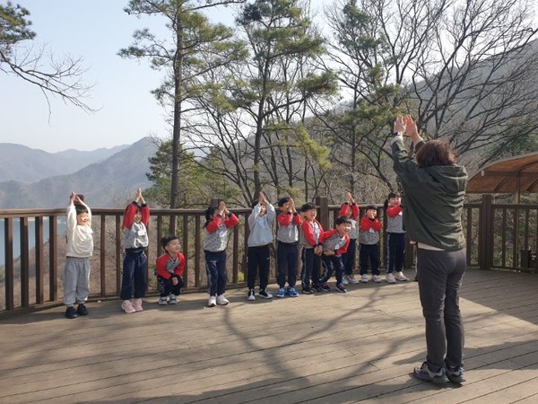 사진 제공=산림청