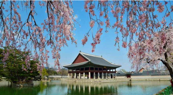 사진 제공=문화재청