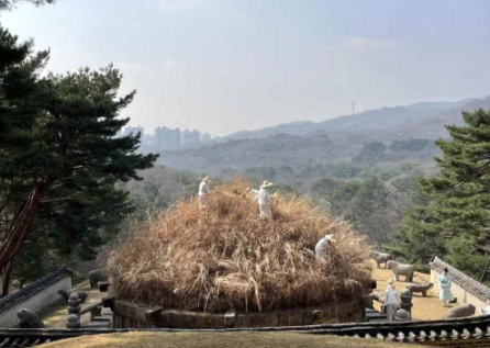 사진 제공=문화재청