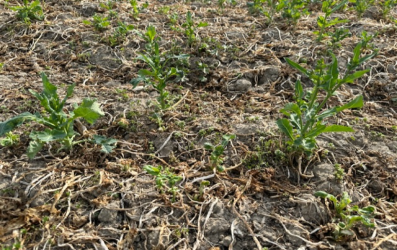 사진 제공=부산시