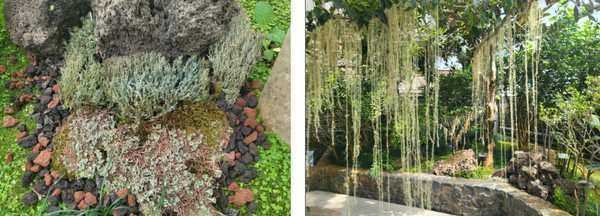 사진 제공=산림청