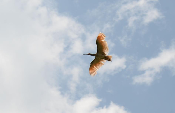 사진 제공=환경부