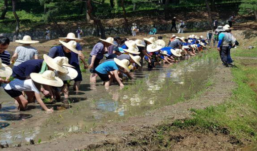  2018년도 행사. 사진 제공=문화재청