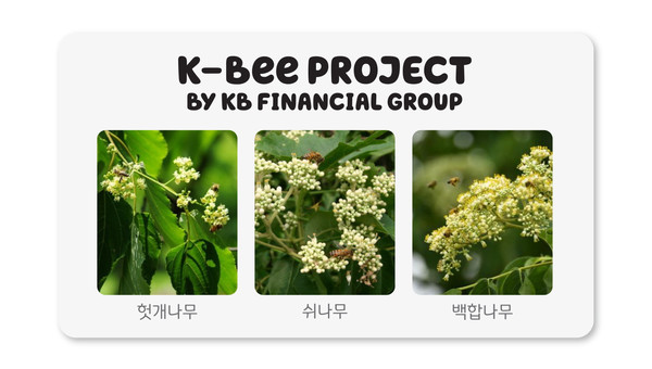 KB금융은 이상 기후로 인해 전국적으로 동시에 꽃이 피고, 개화 유지 기간도 점점 짧아지고 있는 점을 고려해 헛개나무, 쉬나무, 백합나무 등 다양한 묘목으로 밀원숲을 조성하고 있다. 사진=KB금융