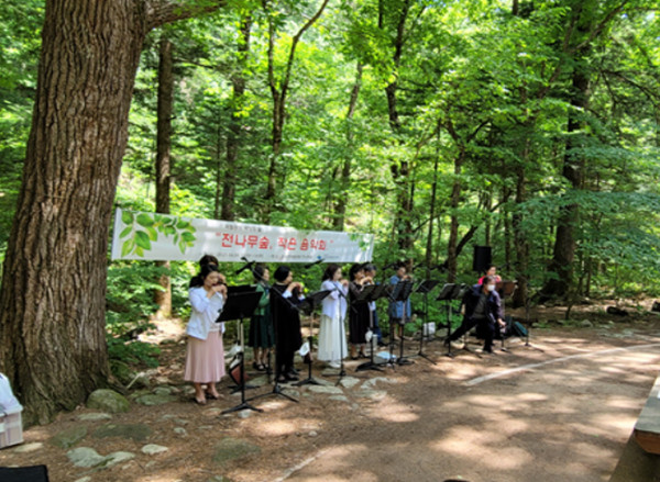 전나무 작은 음악회(오대산). 사진 제공=국립공원공단