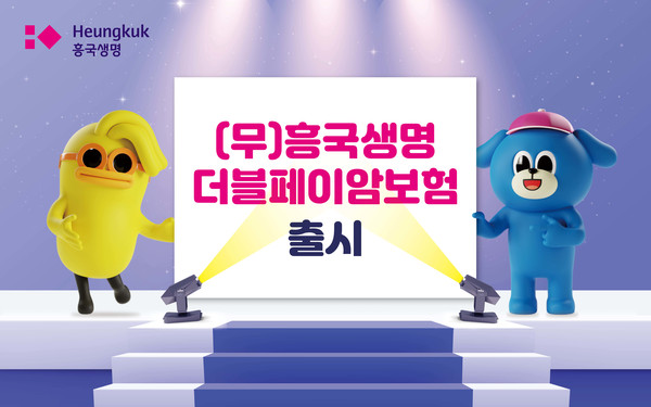 흥국생명이 '(무)흥국생명 더블페이암보험'을 출시했다. 사진=흥국생명