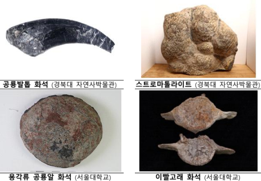 공룡 발톱 화석 등 지질유산 831점 국가귀속
