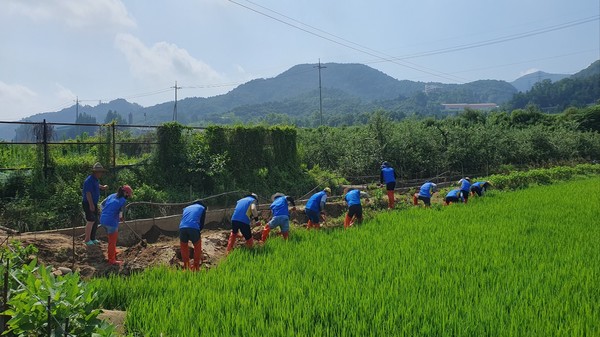 충청도 수해 지역에 방문한 신한금융그룹 임직원이 봉사활동을 진행하고 있다. 사진=신한지주