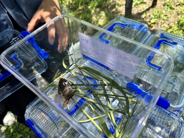 멸종위기 야생생물 2급 물장군. 사진=LG에너지솔루션