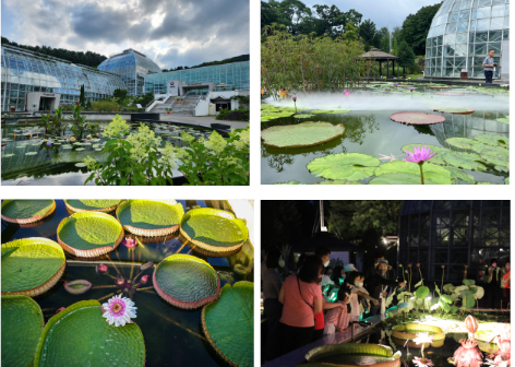 사진 제공=산림청