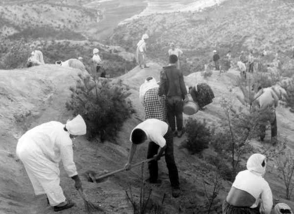 사진 제공=산림청