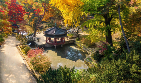 창덕궁 후원 존덕지 풍경. 사진 제공=문화재청