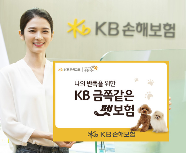 KB손해보험이 특정 질병의 '부담보 인수'를 통해 펫보험 활성화에 앞장선다. 사진=KB손해보험 