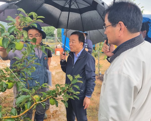 지난 6월 13일 최문섭 NH농협손해보험 대표가 우박 피해 농가를 방문해 현황을 점검하고 농업인을 위로하고 있다. 사진=NH농협손해보험