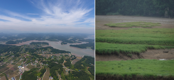 사천 광포만 갯벌 전경. 사진 제공=사천시, (사)에코코리아 제공