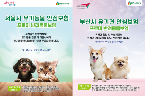 DB손해보험이 '유기동물 펫보험 지원사업'을 통해 서울시, 부산시와 함께 유기동물 입양문화 조성에 협력하고 있다. 사진=DB손해보험
