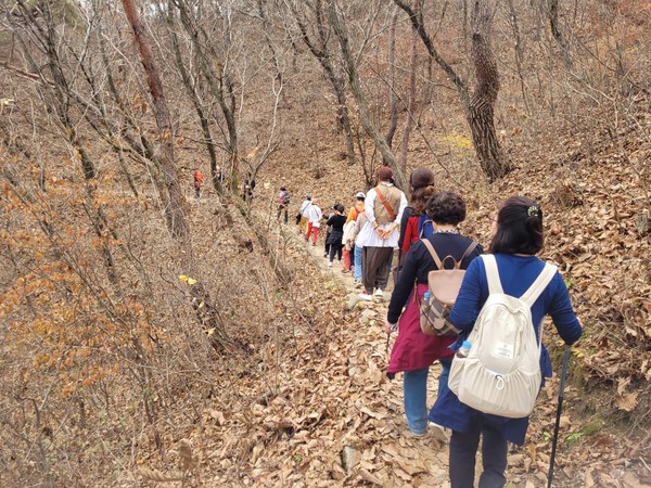속리산 걷기축제. 사진 제공=산림청
