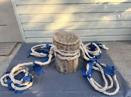 나무달고. 사진 제공=문화재청