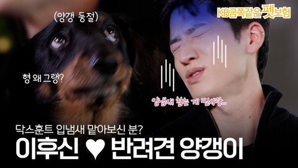 KB손해보험이 'KB 금쪽같은 펫보험' 출시 6개월을 맞아 유튜브 콘텐츠 ‘프로펫셔널’ 시리즈를 공개했다. 사진=KB손해보험