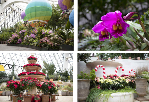 사진 제공=서울식물원