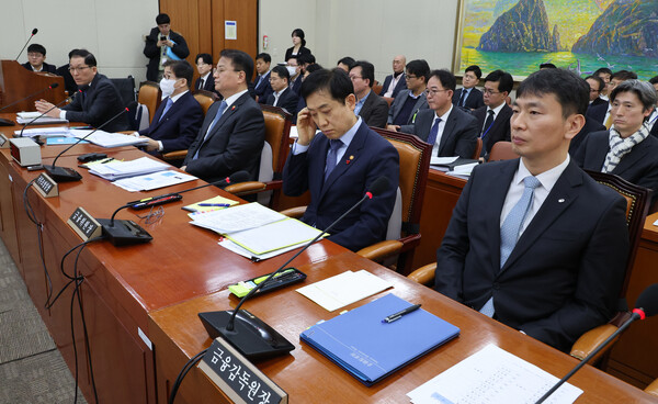 이복현 금융감독원장(왼쪽 세번째)가 국회 정무위원회 전체회의에 참석했다. 사진=연합뉴스