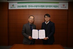 사진=DB손해보험