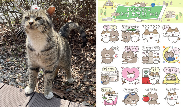 관객들의 사랑을 받고 있는 고양이 뮤지(왼쪽)와 이모티콘. 사진=국립청주박물관