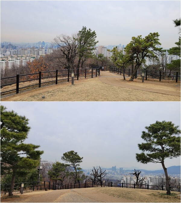 배봉산 해맞이광장 풍경. 사진 = 안병국 객원기자