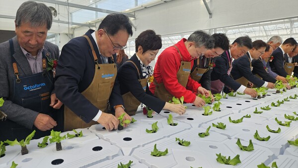 스마트농업지원센터 준공식 참석자들이 모종 정식을 하고 있다/사진제공=농협중앙회
