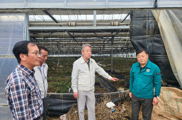 지난 6일 강호동 농협중앙회장이 경남 합천지역 집중호우 피해농가를 방문하여 살펴보고 있다/사진제공=농협중앙회