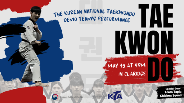 대한태권도협회 태권도 시범단의 '동쪽의 빛'(Light Of East)' 시범 공연 포스터. 사진 = 주벨기에유럽연합 한국문화원