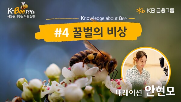 KB금융이 '세계 벌의 날'을 맞아 '꿀벌의 비상' 영상을 공개했다. 사진=KB금융